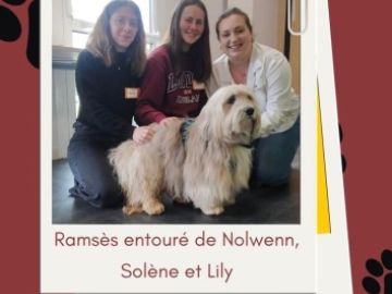 Au cours de l'année, les terminales SAPAT, ont dû mettre en place un projet d'actions professionnelles en groupe. Solène, Lily et Nolwenn ont fait le choix...