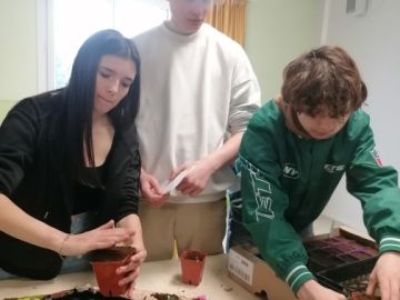 Ce lundi 6 mars, nouvelle séance de pratique pour les 3eme en EPI végétaux cultivés, le printemps approche il est temps de débuter les semis. En godets...