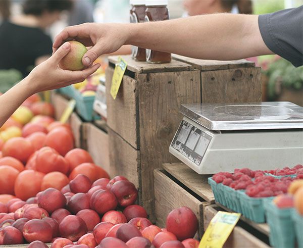 Grâce au CAP Services Aux Personnes et Vente en Espace Rural vous deviendrez employé·e qualifié·e