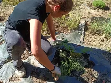 🌱 C'est reparti pour l'EPI végétaux cultivés !
Cette année un beau projet A la découverte des saveurs attend nos élèves de 3eme.
Pour commencer, il faut...